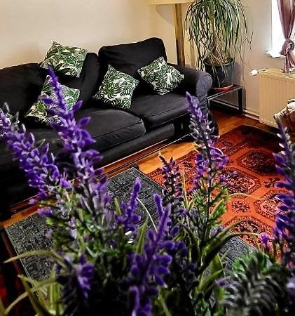 Bright Studio Close To Zaventem Airport Bruksela Zewnętrze zdjęcie